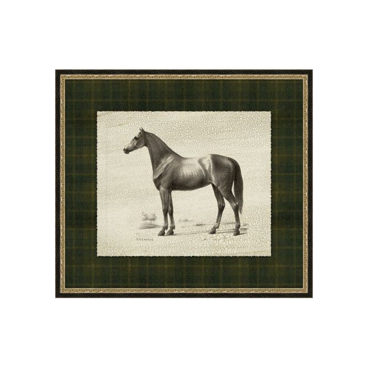"Patterned Dignity" Framed Art Print
