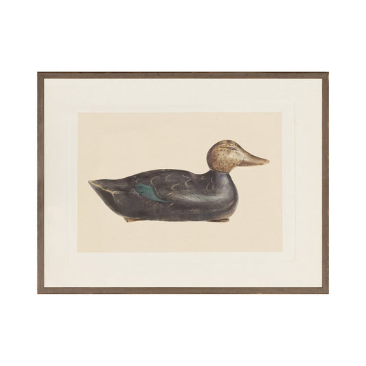 "Decoy Duck II" Framed Art Print
