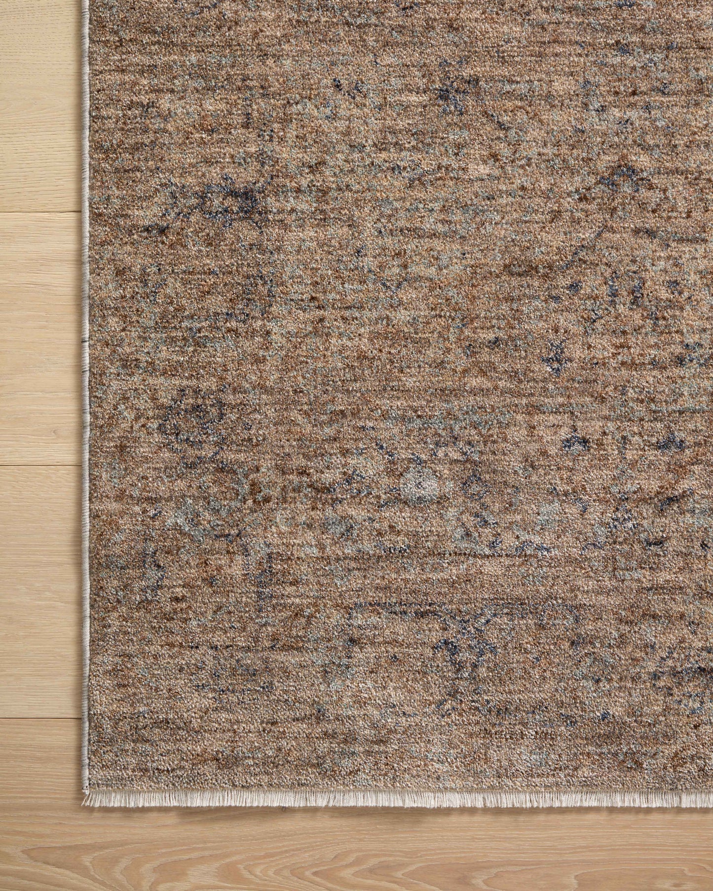 Angela Rose x Loloi Blake Taupe/ Blue Rug