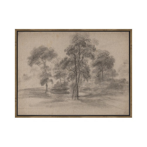 "Sepia Grove" Framed Canvas