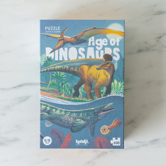 Age of Dinosaurs Puzzle