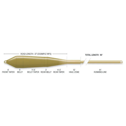Airflo Super Flo Power Taper WF-6 Floating Fly Fishing Line