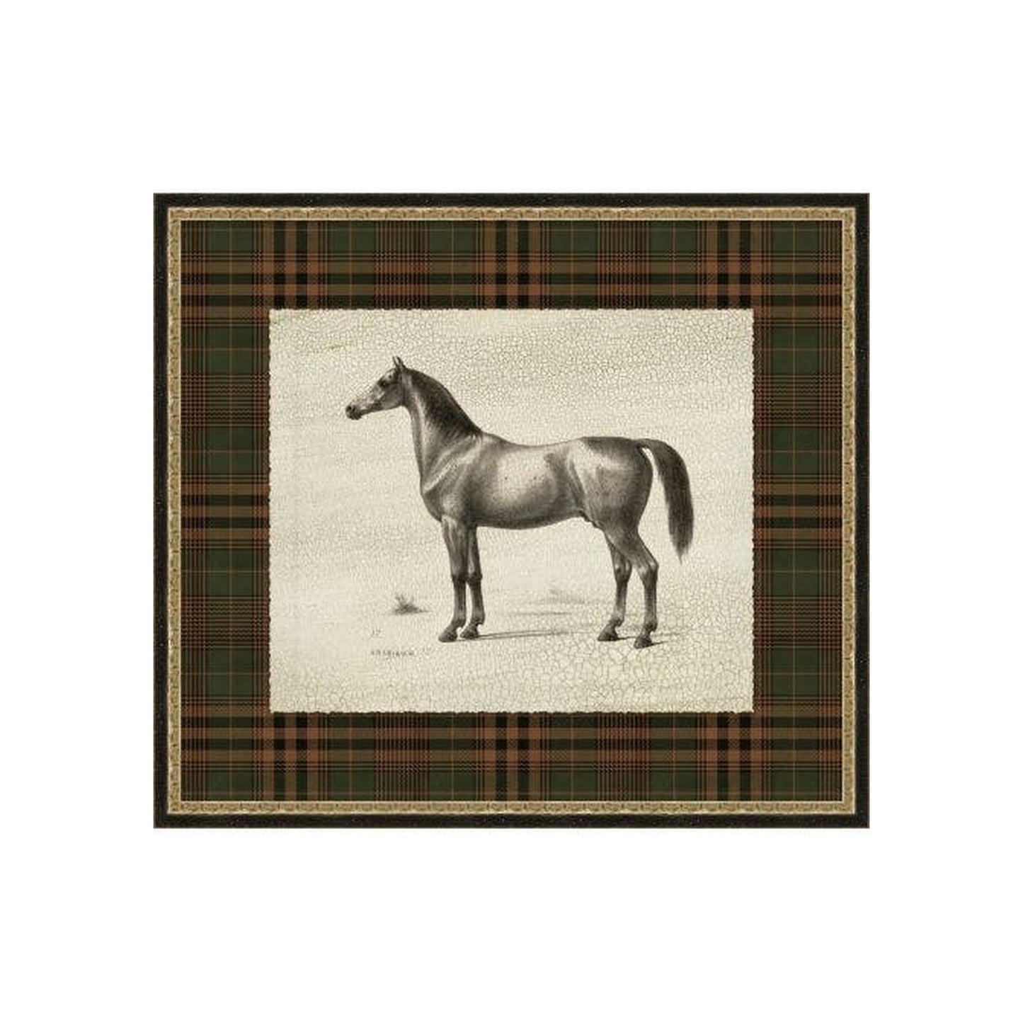 "Patterned Dignity" Framed Art Print