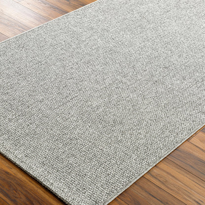 Becki Owens Birdie Silver Woven Rug