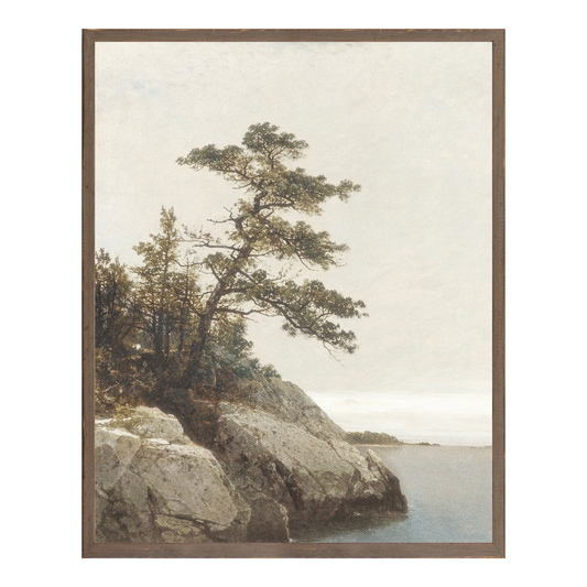 "Old Pines" Framed Art Print