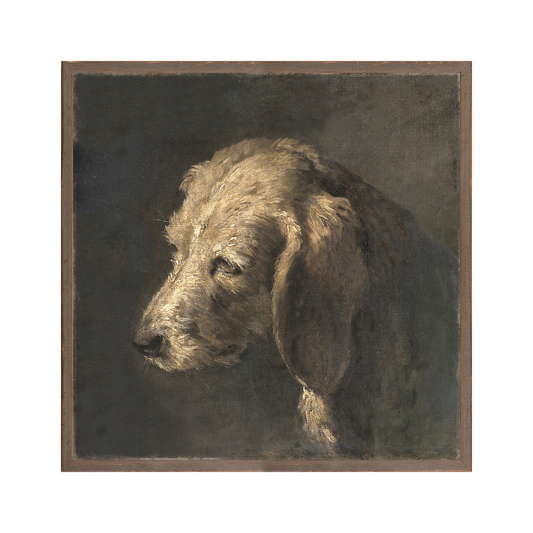 "Moody Dog" Framed Art Print