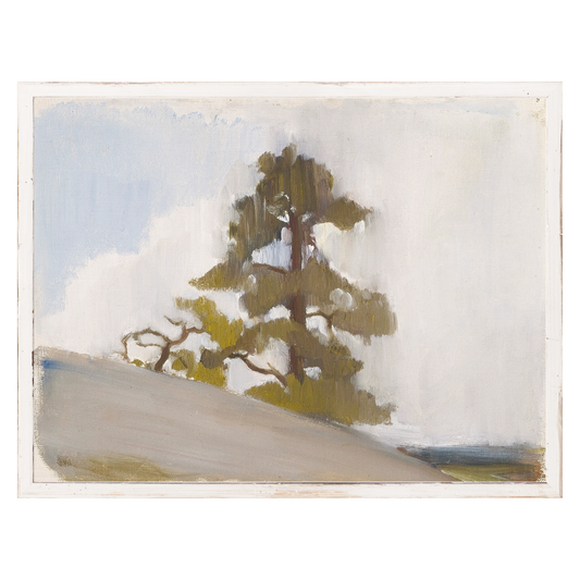 "Cliffside Pine" Framed Art Print